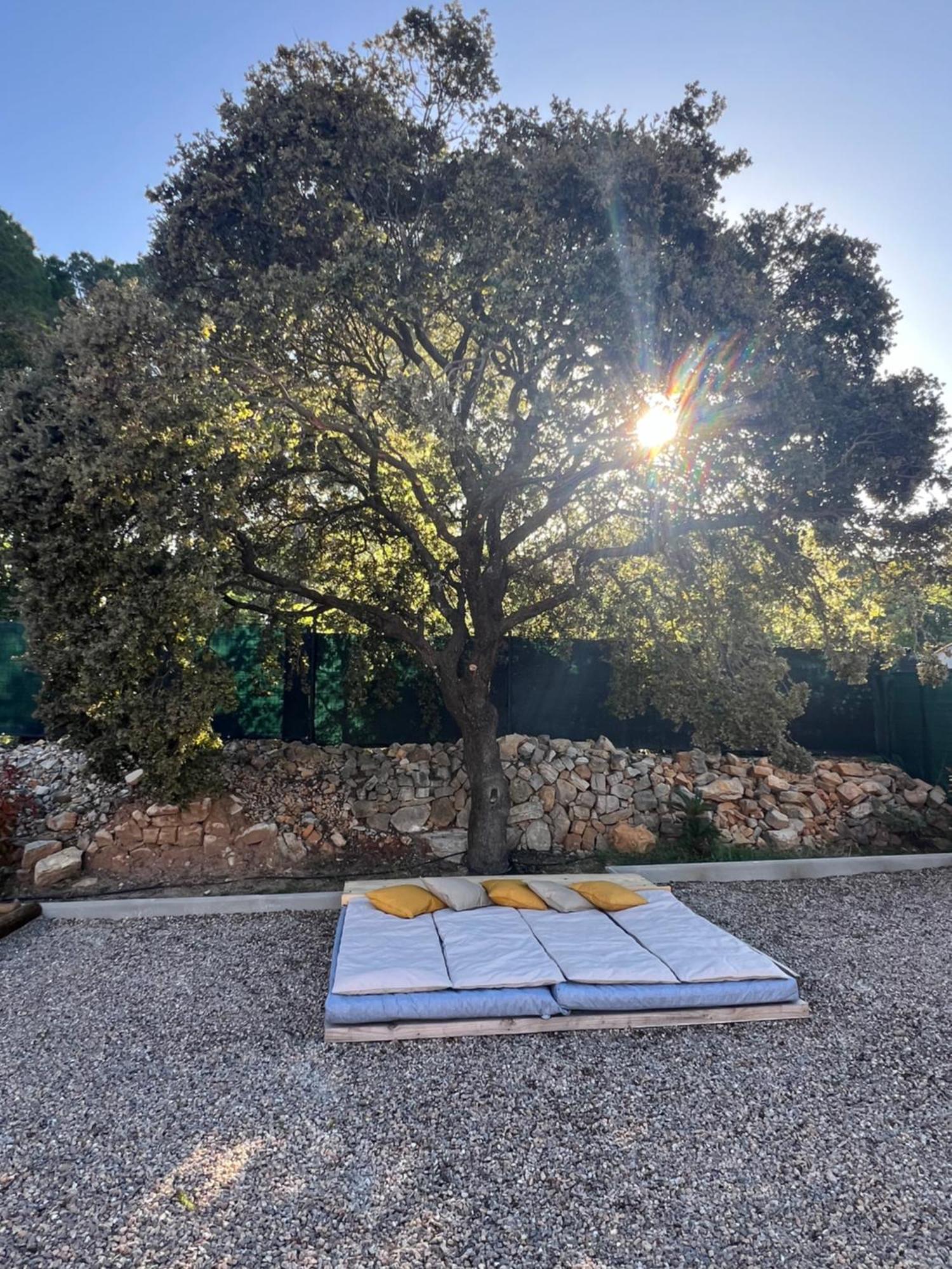 La Provence Piscine Privee, Petanque Et Barbecue Villa Les Arcs-sur-Argens Buitenkant foto